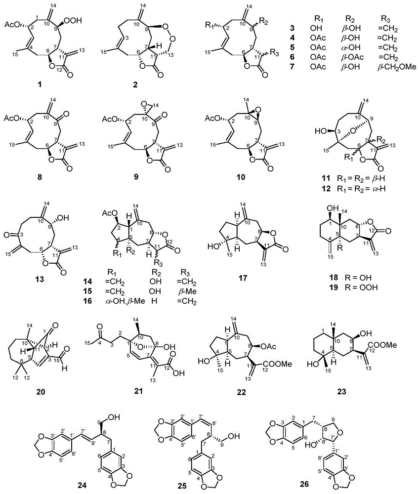 多花蒿烯内酯A-S和多花蒿素A-G及其药物组合物和应用的制作方法