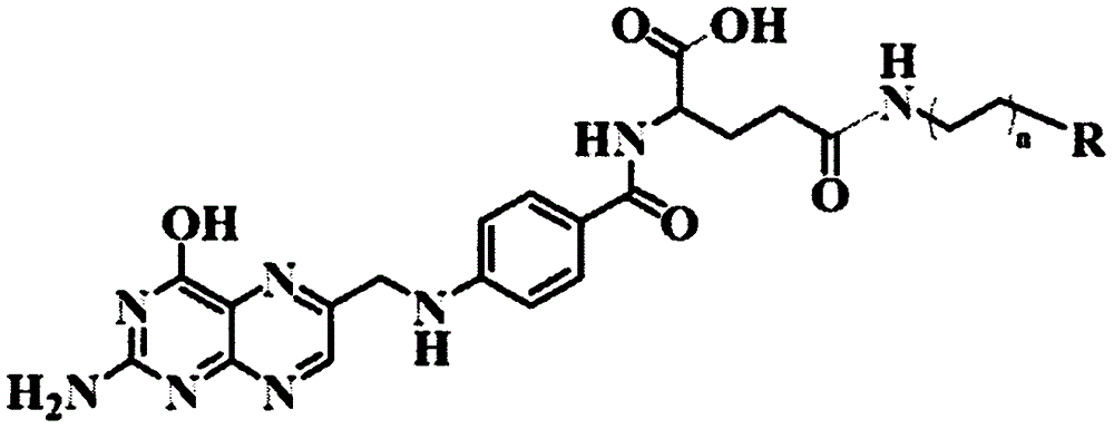 一种糖修饰的叶酸衍生物制备的纳米运载颗粒及其应用的制作方法