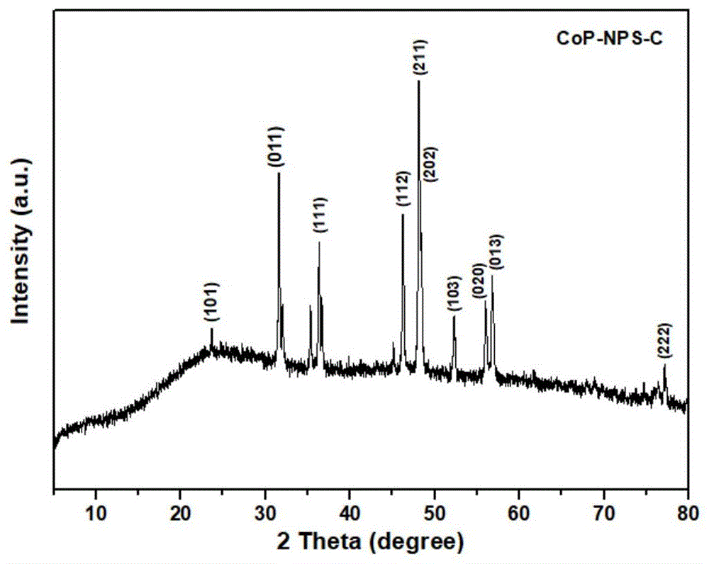 一种氮磷硫共掺杂多孔碳负载的金属磷化物纳米复合材料及其制备方法与应用与流程