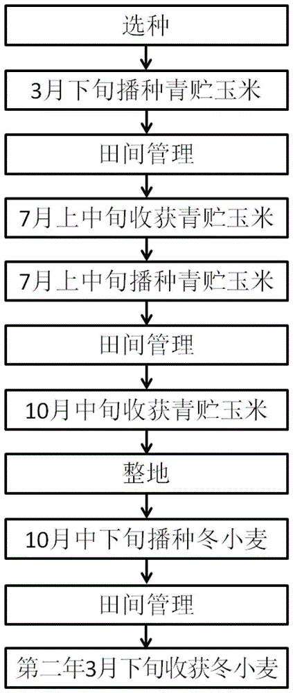 一种双季青贮玉米-冬小麦高产高效种植方法与流程