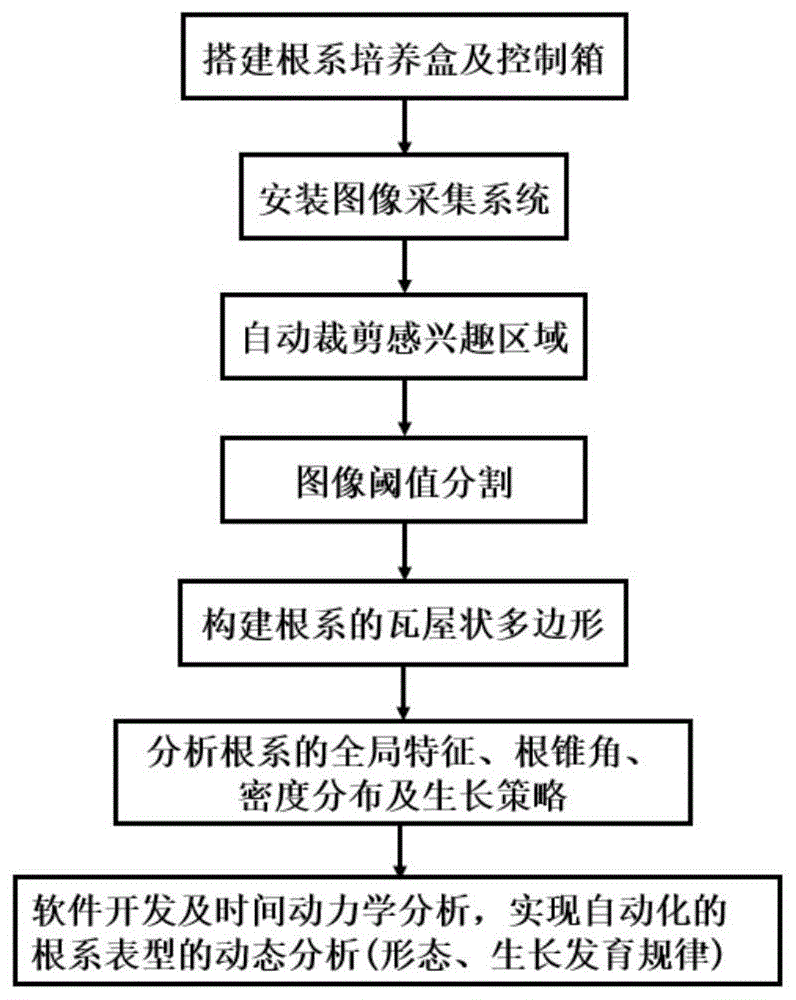 基于瓦屋状多边形的作物根系表型分析装置及方法与流程