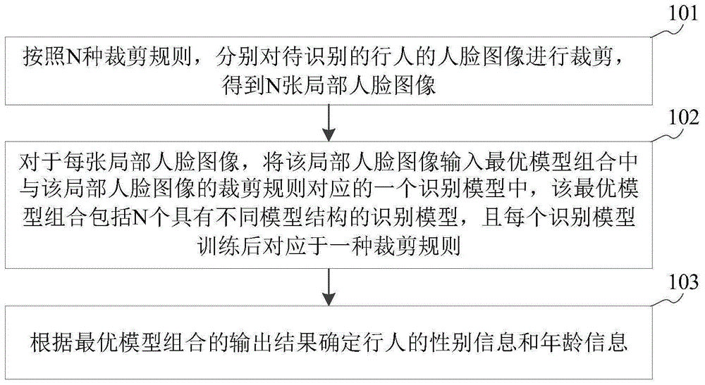 性别和年龄的识别方法、装置、存储介质及服务器与流程