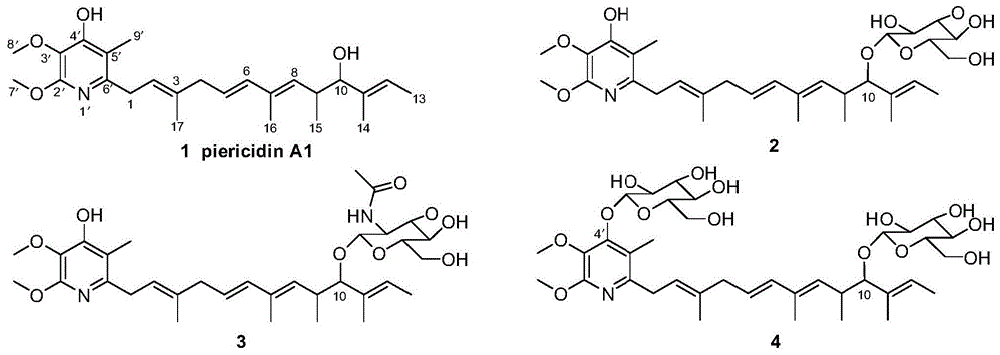 粉蝶霉素糖基转移酶sGT1及应用的制作方法