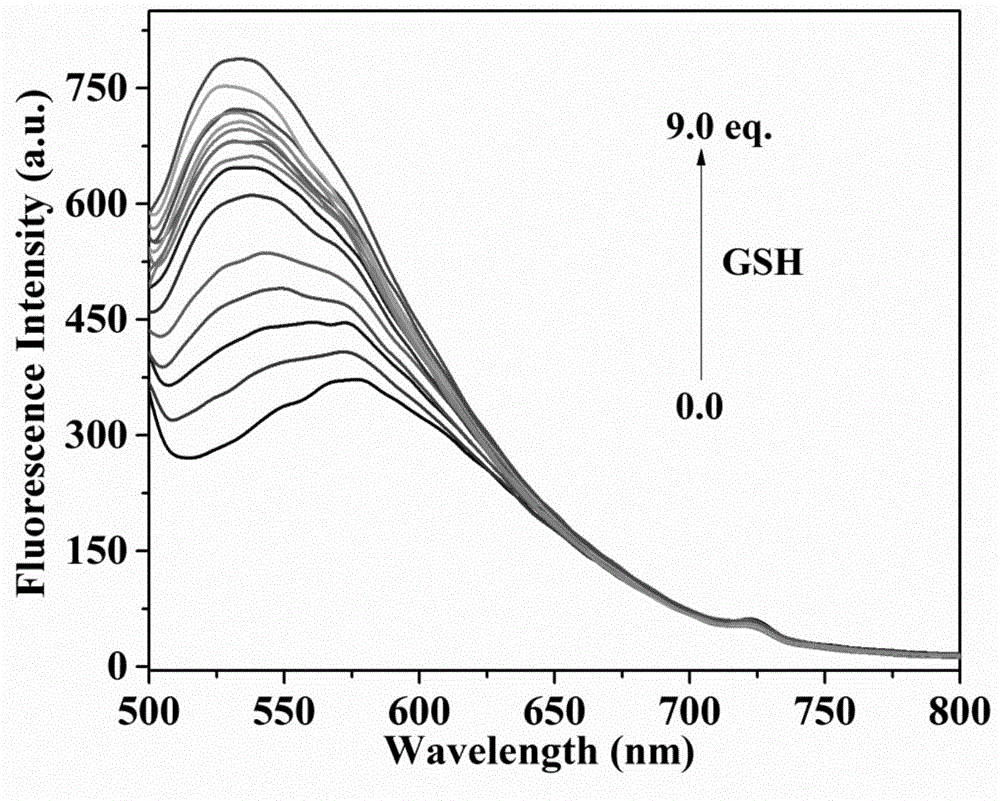 一种单波长激发区分检测GSH和H2Sn(n>1)的荧光探针的制作方法