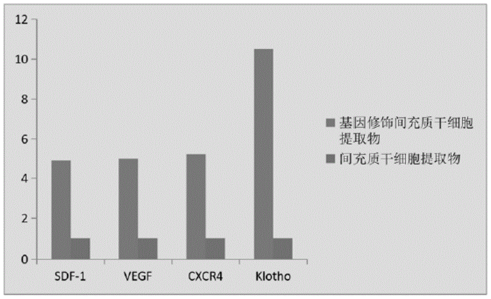 基因修饰的间充质干细胞提取物、提取方法及在皮肤紧致和抗衰老方面的应用与流程