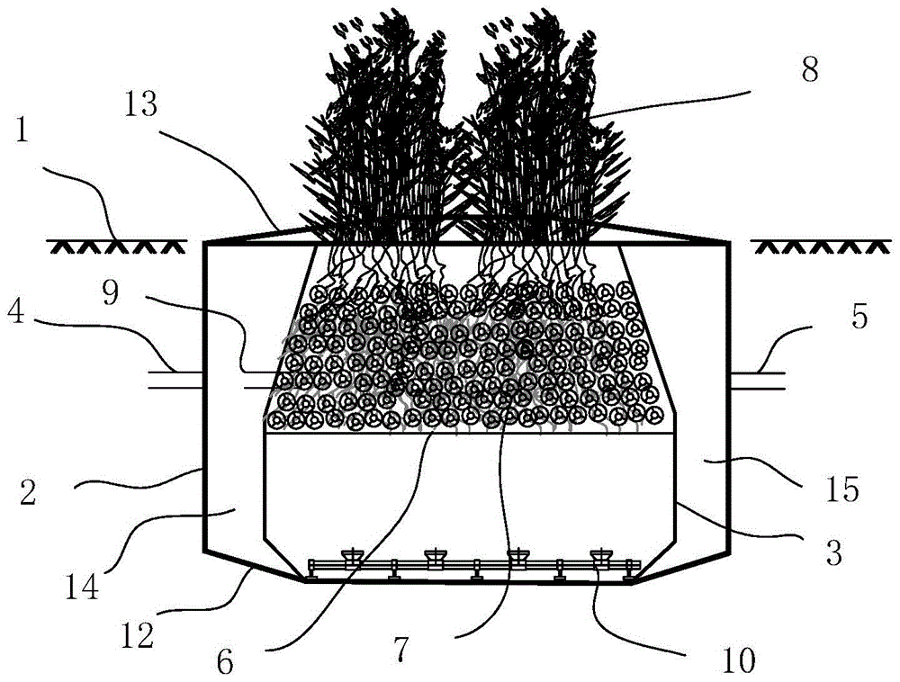 基于植物根系挂膜微污染水处理设备的制作方法