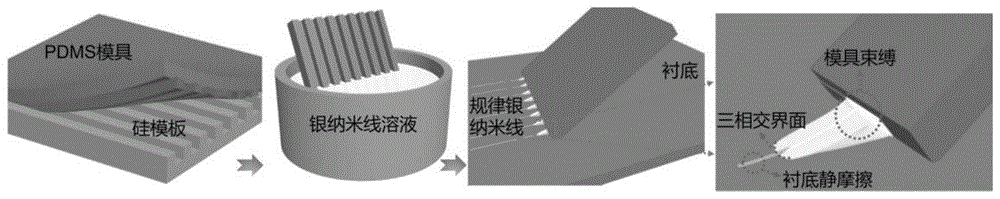 利用毛细管力制备高度有序的柔性银纳米线电极的方法及应用与流程