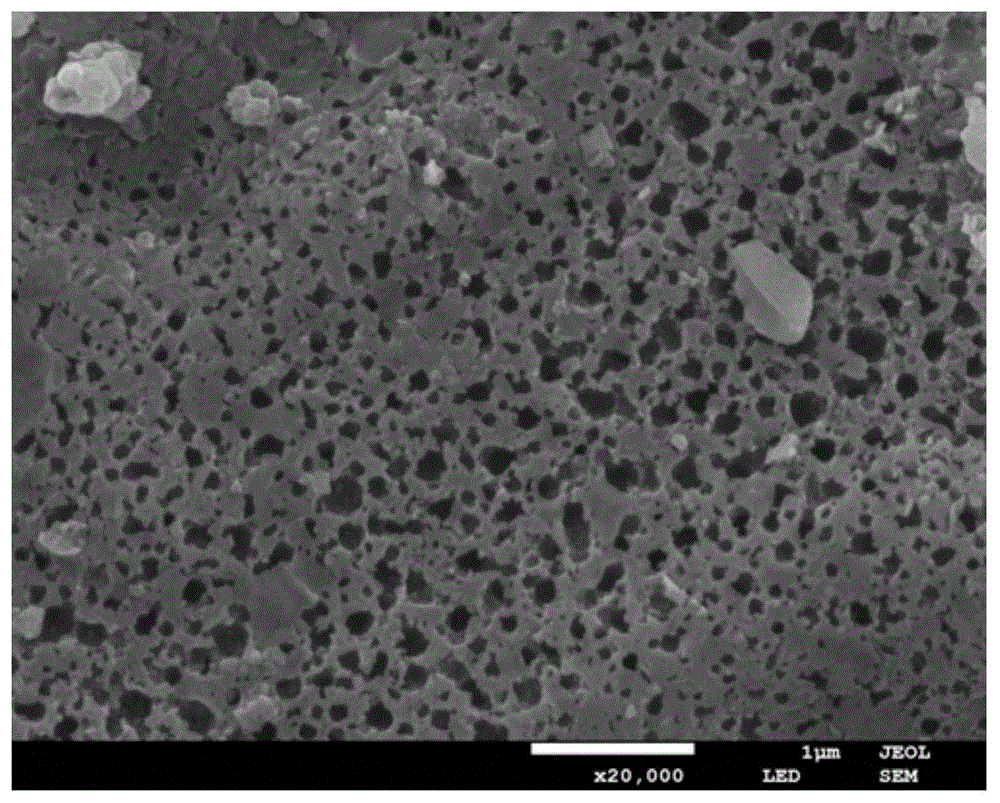 一种制备海藻基多孔碳材料的方法与流程