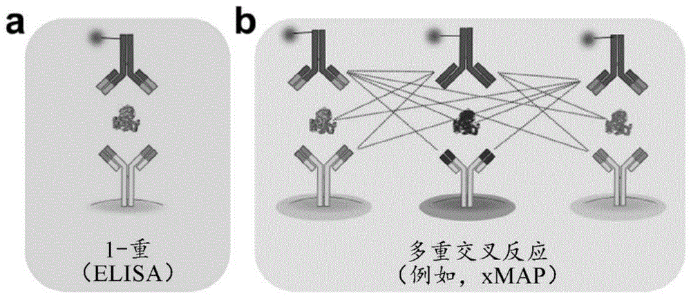 通过连接共定位的夹心测定法的制作方法