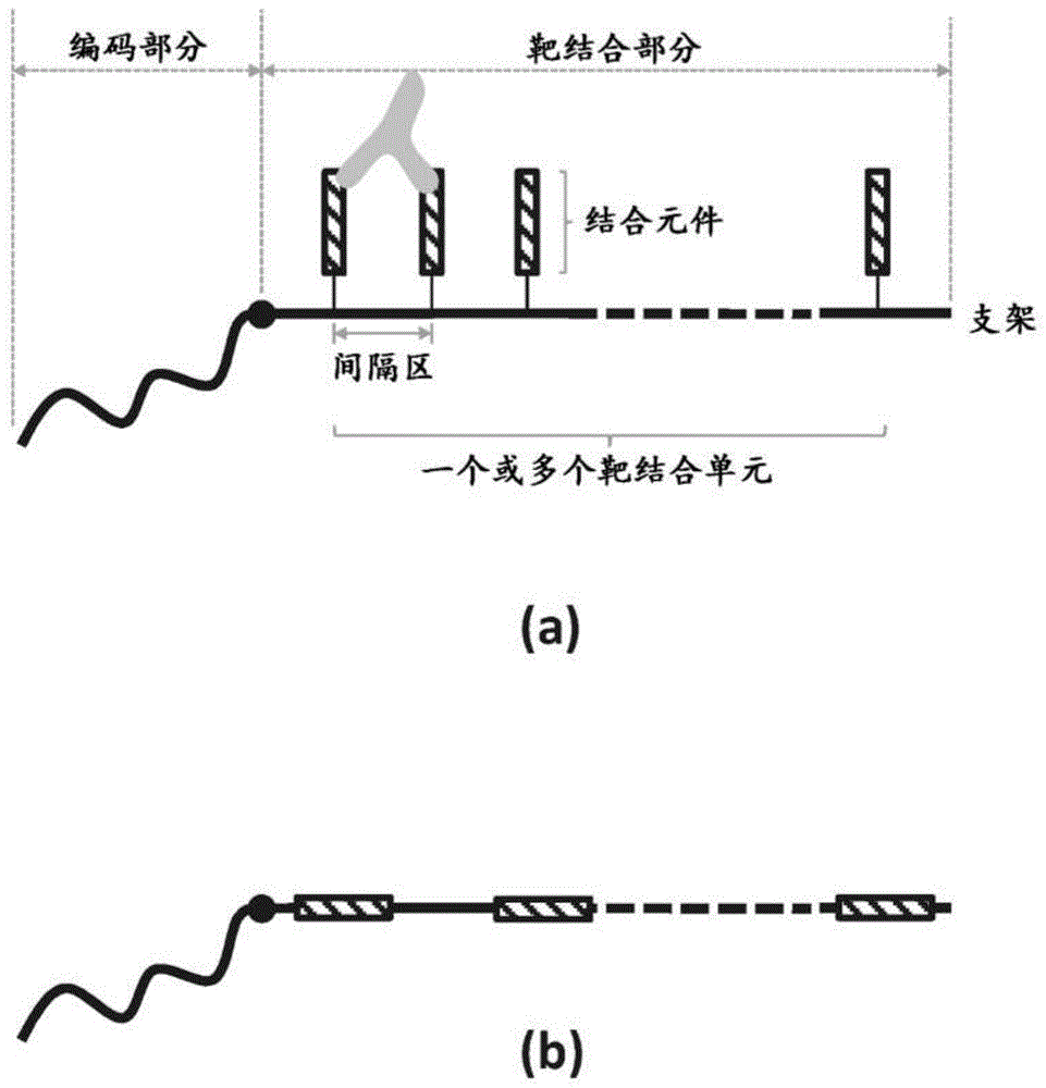 靶结合部分的组合物及使用方法与流程