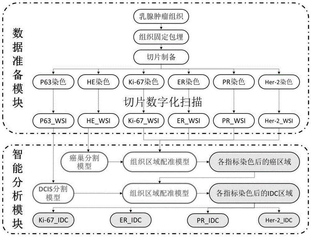 一种自动确认浸润性乳腺癌区域系统的制作方法