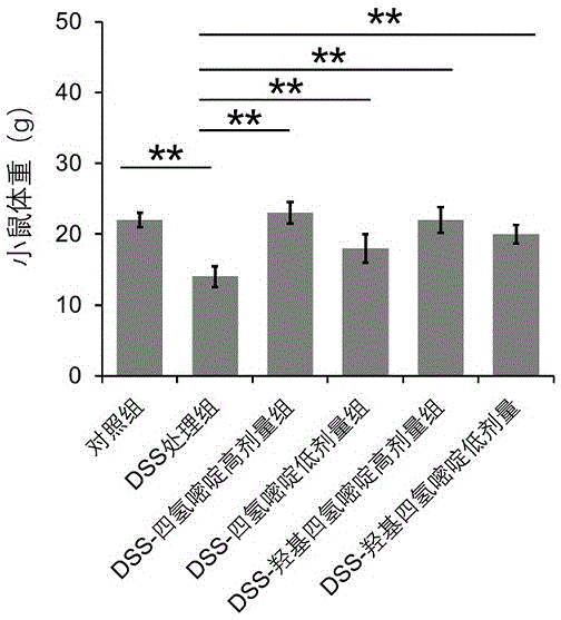 四氢嘧啶及其衍生物在预防和/或治疗肠道疾病中的应用的制作方法