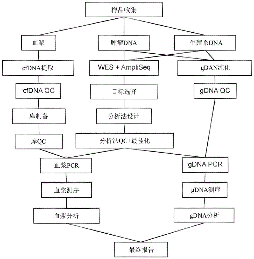 用于借助于循环肿瘤DNA的个人化检测的癌症检测和监测的方法与流程