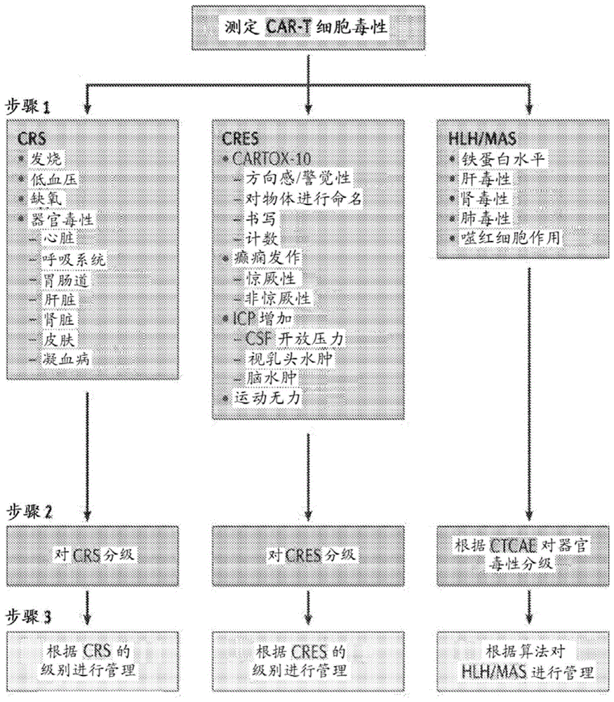 用于预防和治疗细胞因子释放综合征和与免疫耗竭相关的神经毒性的去纤苷的制作方法