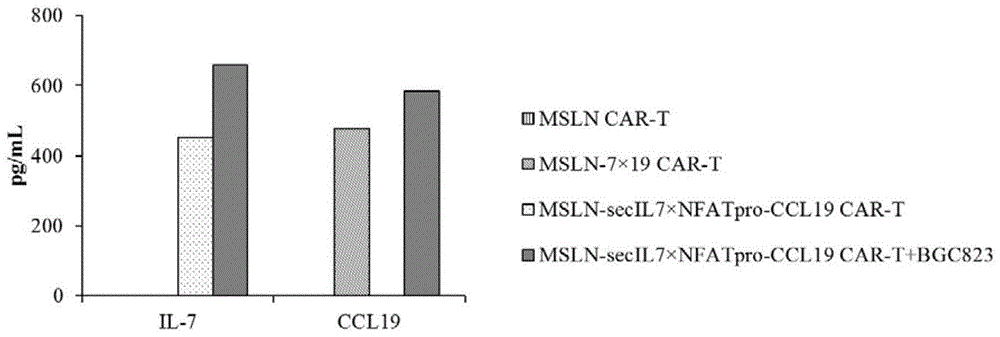 共表达分泌型IL-7和选择性CCL19的表达载体及其应用的制作方法