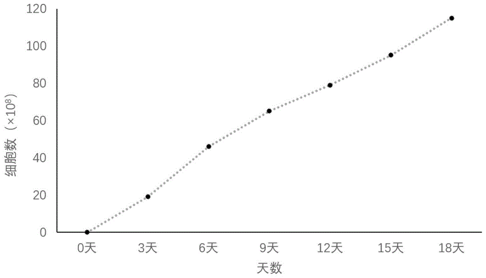 一种含有NK细胞的药物组合物及其治疗癌症的用途的制作方法