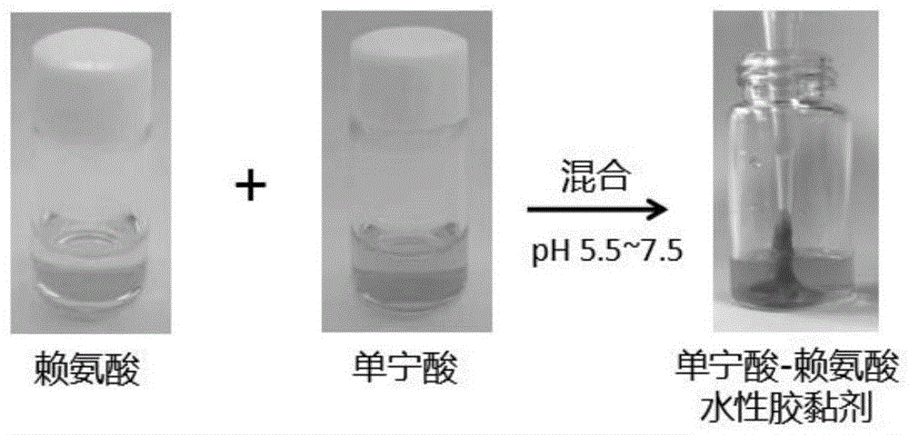 一种水性胶黏剂及其制备方法与流程