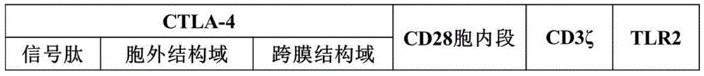 一种表达免疫抑制检查点受体分子的T细胞及其应用的制作方法