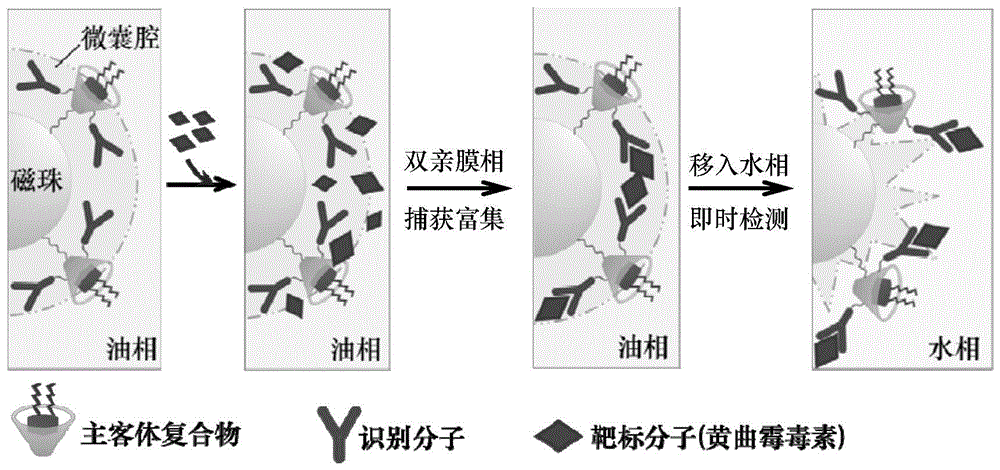 一种纳米捕获器件及其制备方法和用途与流程