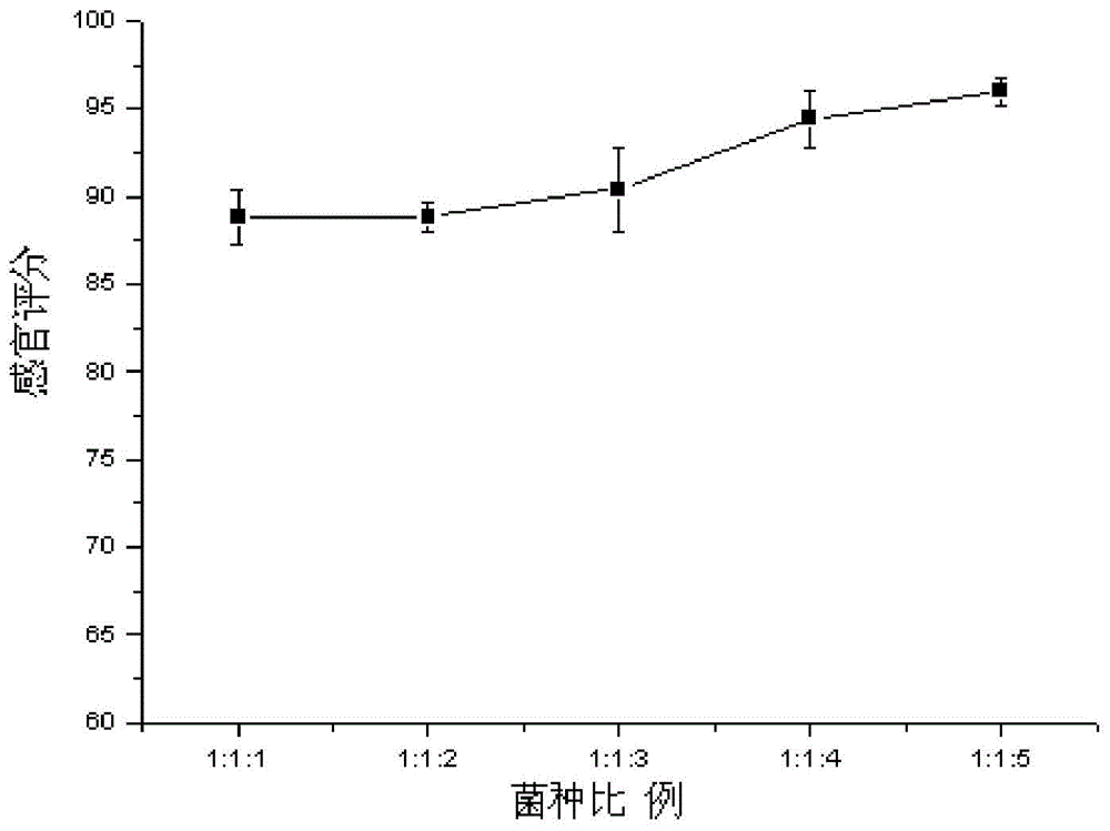 利用辣椒盐坯制备辣椒酱的方法与流程