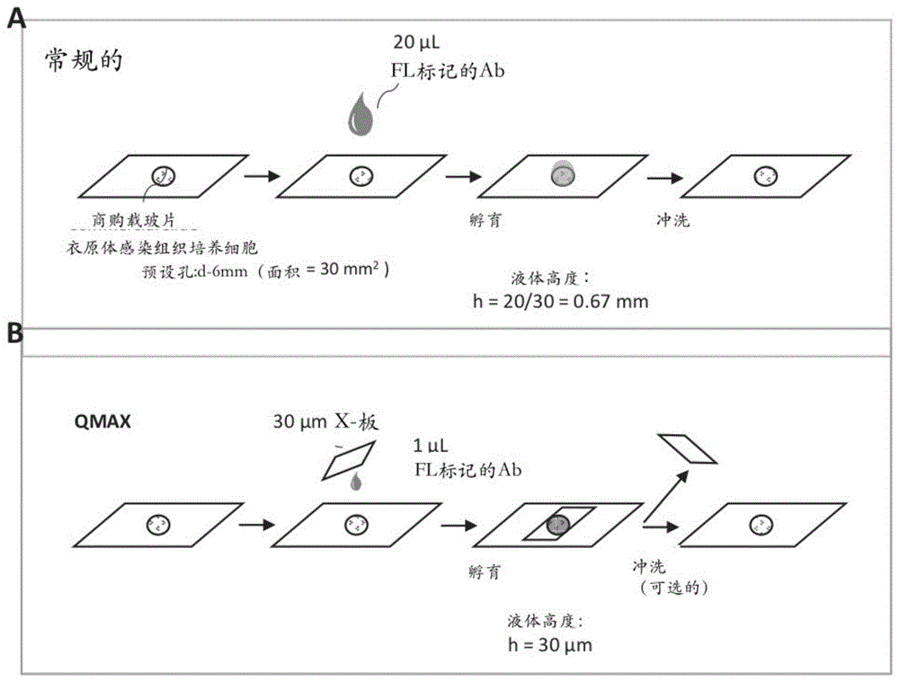 引起性传播疾病的细菌和免疫T细胞检测的制作方法