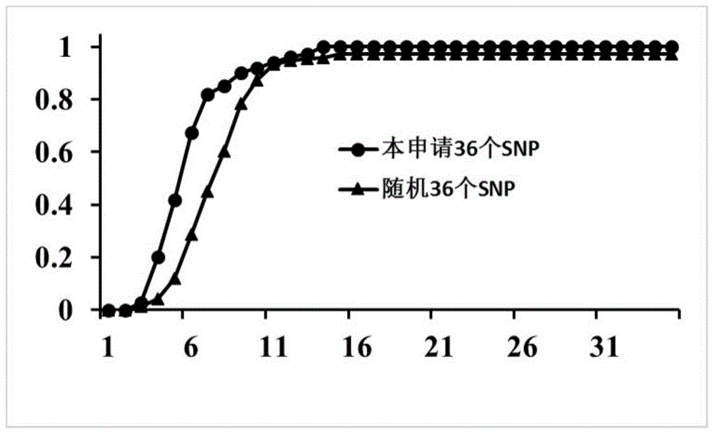 一种鉴定白皮松种质资源的SNP位点引物组合及应用的制作方法