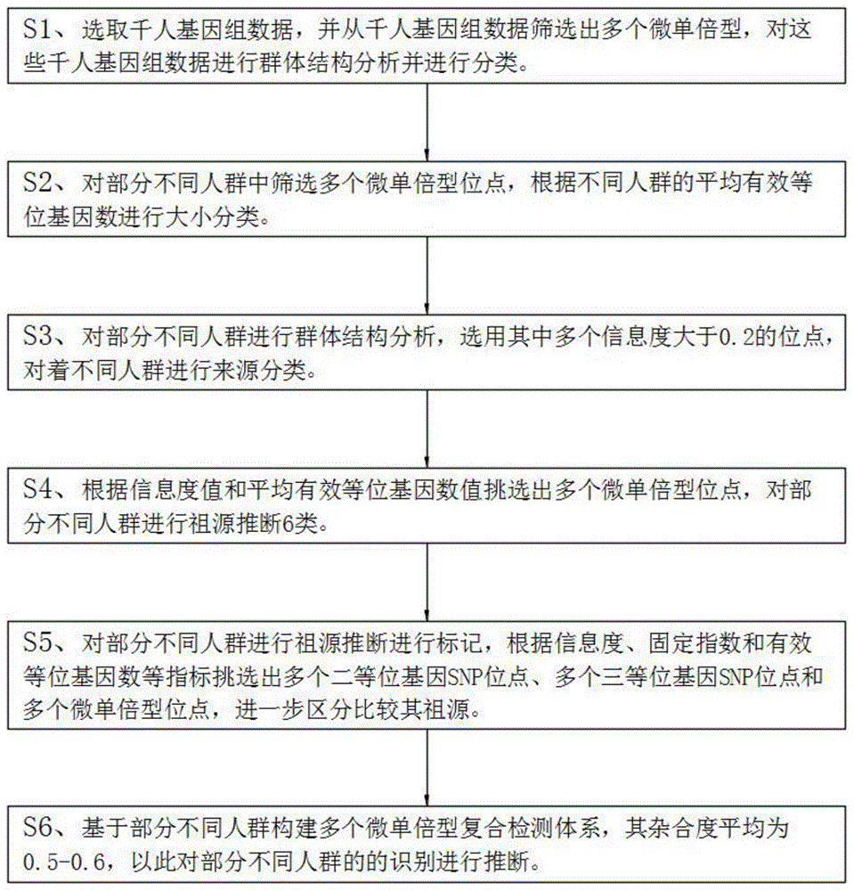 基于大数据人工智能算法的祖源多态性预测方法与流程