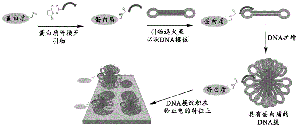 产生纳米阵列和微阵列的方法与流程