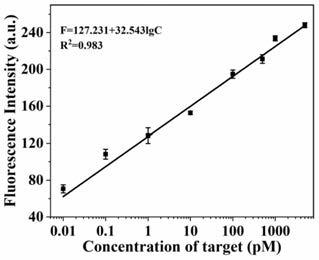 一种指数扩增反应触发3-D双腿DNA步行器的microRNA生物传感器的制作方法