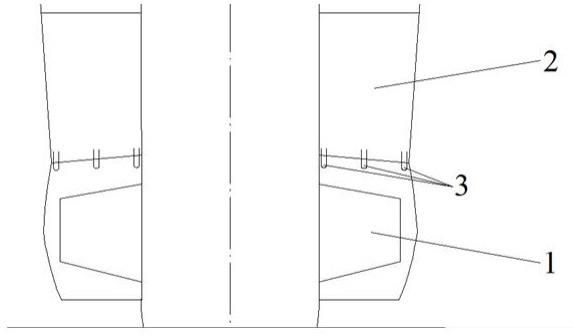 一种用于采集叶片吸力面空化噪声的水听器布置结构及其使用方法与流程