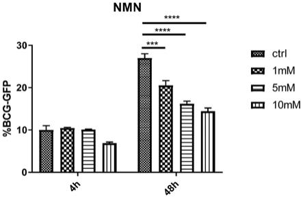 具有NMN和/或NADH结构的化合物及其可药用盐在制备结核分枝杆菌抑制剂中的应用的制作方法