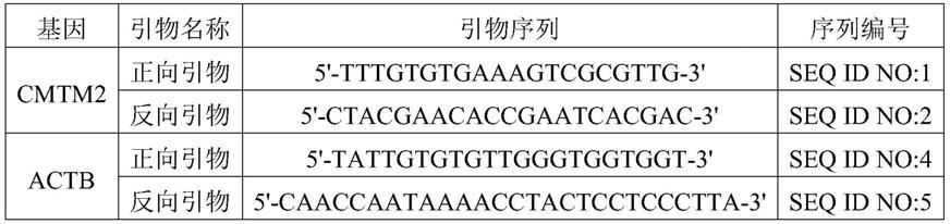 与肺癌相关的CMTM2基因甲基化检测引物、探针、检测试剂或试剂盒、反应体系和方法与流程