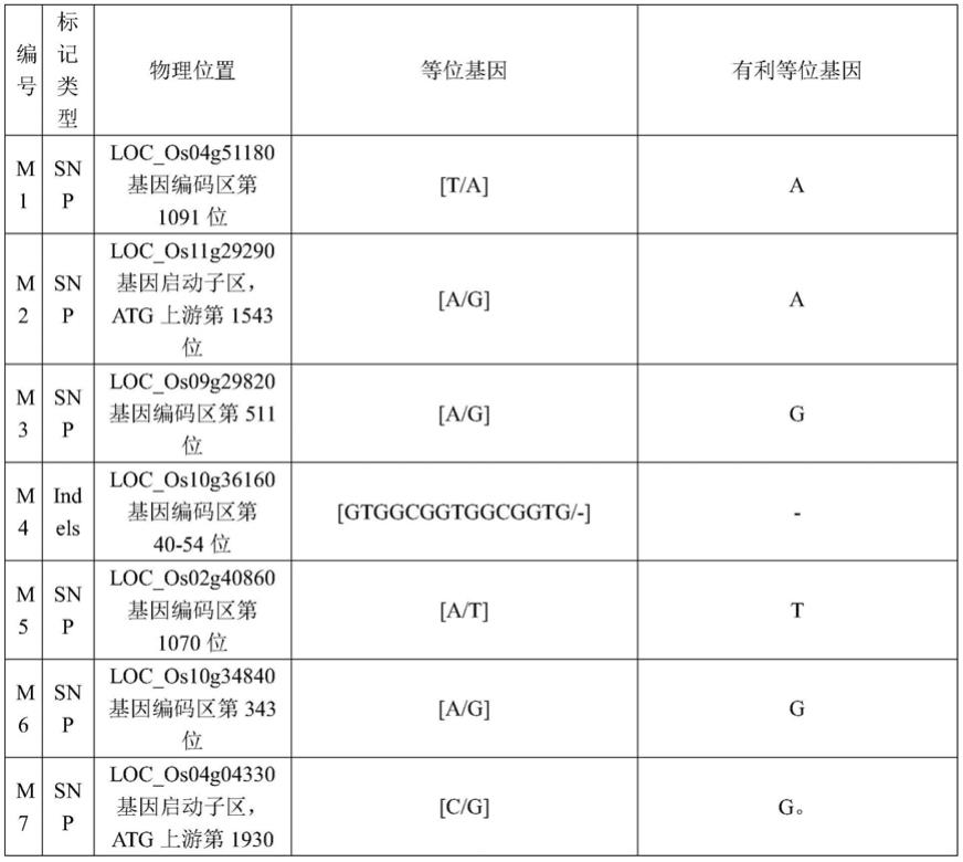 基于KASP技术用于水稻整个生育期耐冷基因分型的引物组合及应用的制作方法