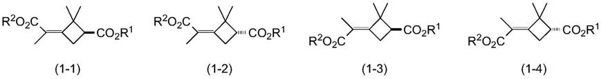 具有二甲基环丁烷环的二酯化合物及其制备方法及其衍生的二甲基环丁烷化合物的制备方法与流程