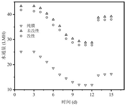 一种反渗透膜及其制备方法与流程