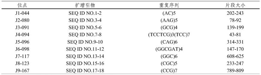 用于鉴定百合倍性的微卫星DNA分子标记及其应用的制作方法