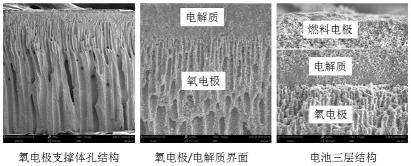 一种氧电极支撑的固体氧化物电解电池及其制备方法与流程