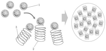 一种基于硅纳米螺旋结构的精准病毒俘获及提取方法与流程