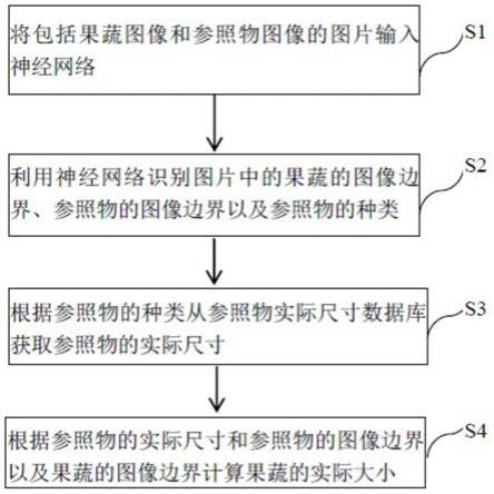 果蔬大小识别方法、装置、电子设备以及计算机可读介质与流程