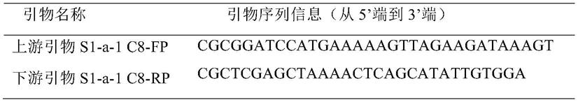 一种专一性催化CDCA及其缀合物的酶及其应用的制作方法