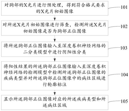 基于深度卷积神经网络的胸部X光片辅助诊断方法及系统与流程