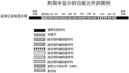 采用核酸编码和/或标签进行分析的试剂盒的制作方法