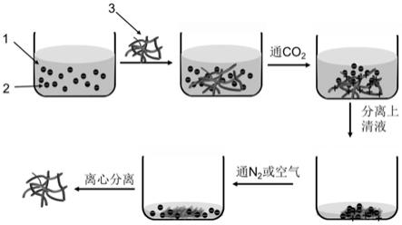一种利用二氧化碳气体响应聚合物对污水进行净化的方法与流程