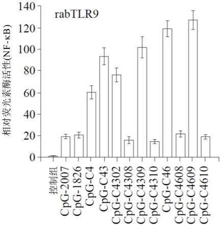 CpG寡脱氧核苷酸、包含其的免疫组合物及制备组合物并通过其刺激免疫反应的方法与流程