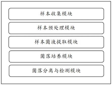 用于分离粪便中菌群的智能分离系统的制作方法