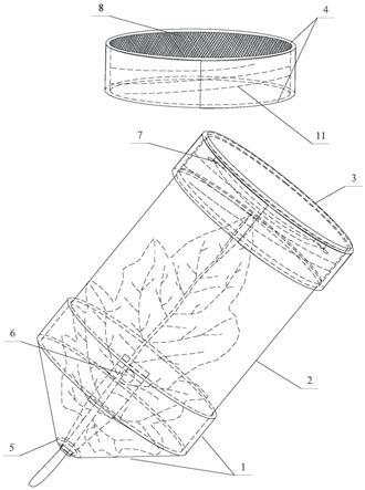 一种测定植物精油对粉虱类害虫毒力的装置及测定方法与流程