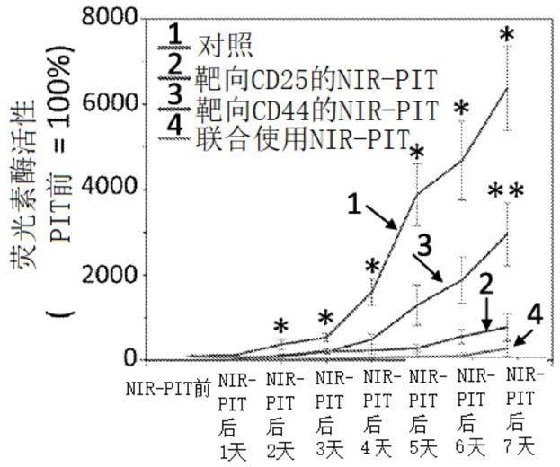 靶向癌细胞的近红外光免疫疗法与宿主免疫激活的联合使用的制作方法