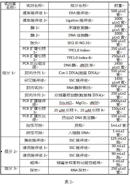 一种用于检测人乳头瘤病毒HPV45的探针及其试剂盒的制作方法