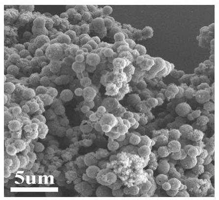 一种钴镍合金@氮掺杂多孔碳复合微波吸收材料制备方法与流程