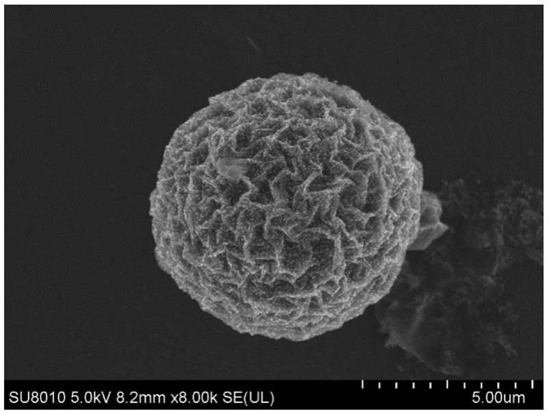 一种喷雾干燥法制备Ti3C2Tx/炭黑复合微球的方法与流程